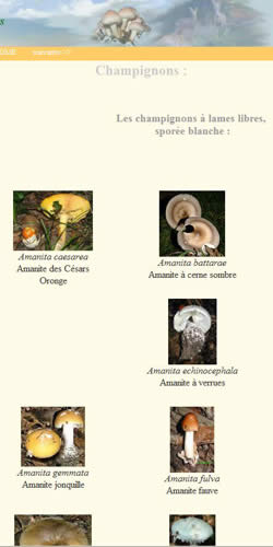 Lames libres