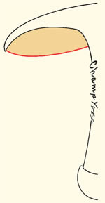 Lamesadnées